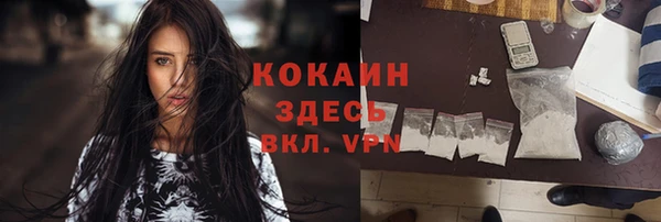 кокс Арсеньев