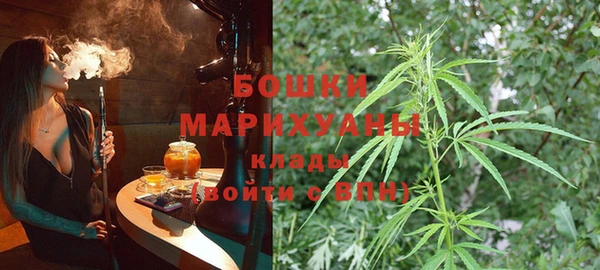 шишки Лабытнанги