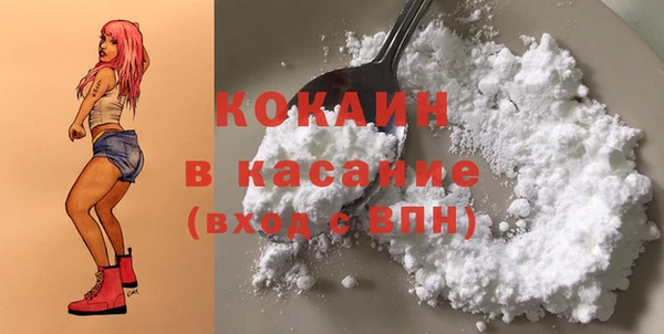 кокс Арсеньев