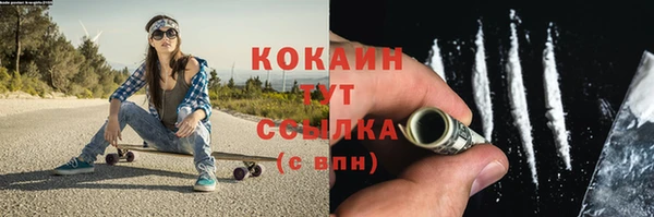 кокс Арсеньев