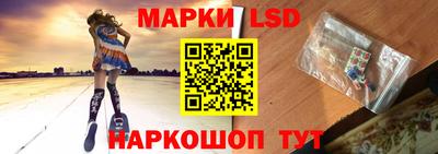 дмт Аргун