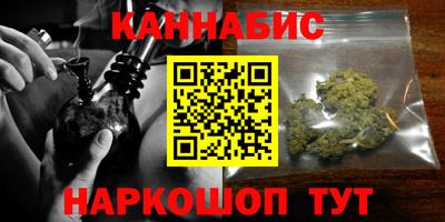 дмт Аргун