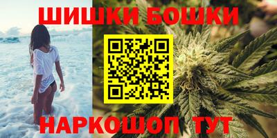 дмт Аргун