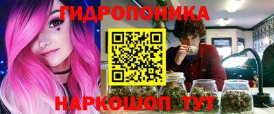 индика Балашиха