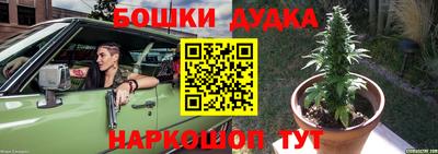 дмт Аргун