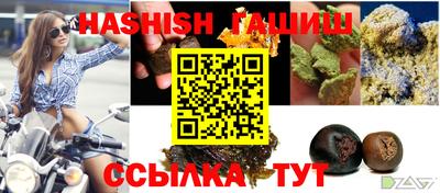 дмт Аргун