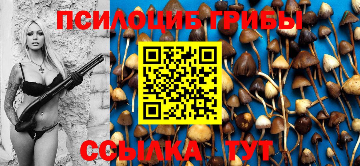 Галлюциногенные грибы MAGIC MUSHROOMS Белово